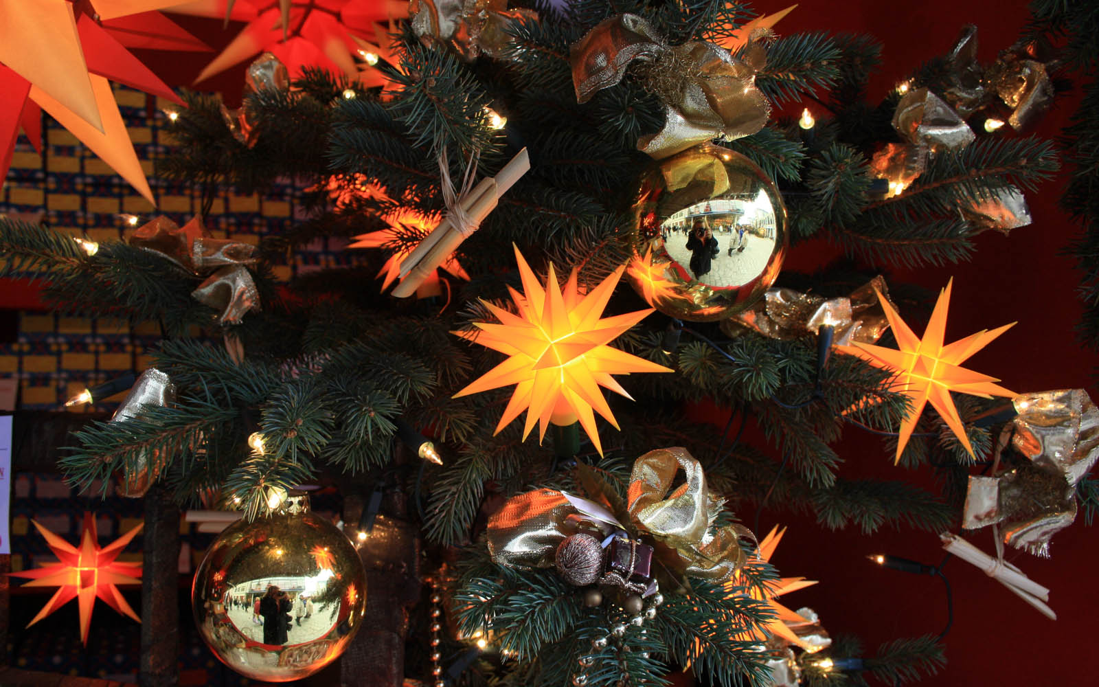 Christmas tree with Herrnhut stars