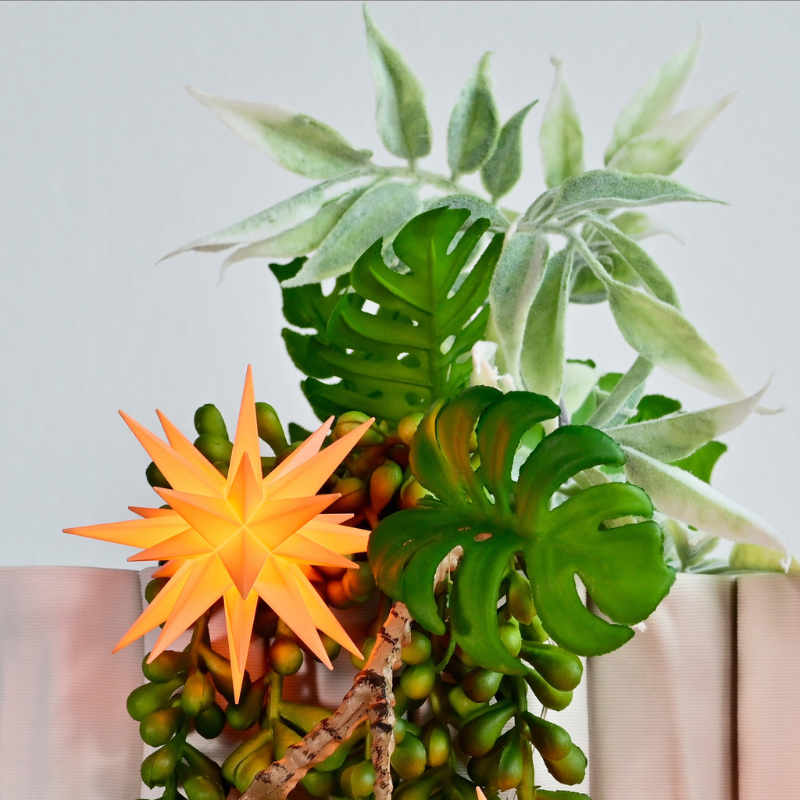 Original Herrnhut plastic MINISTAR, APRICOT (Special Edition 2026) in plant