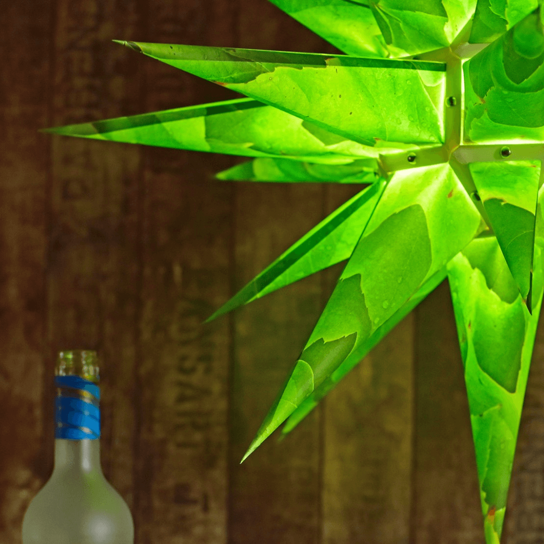 Étoile en papier Herrnhut originale, "NATURE Edition Weinlaub", ~ 60 cm / 24 pouces ø