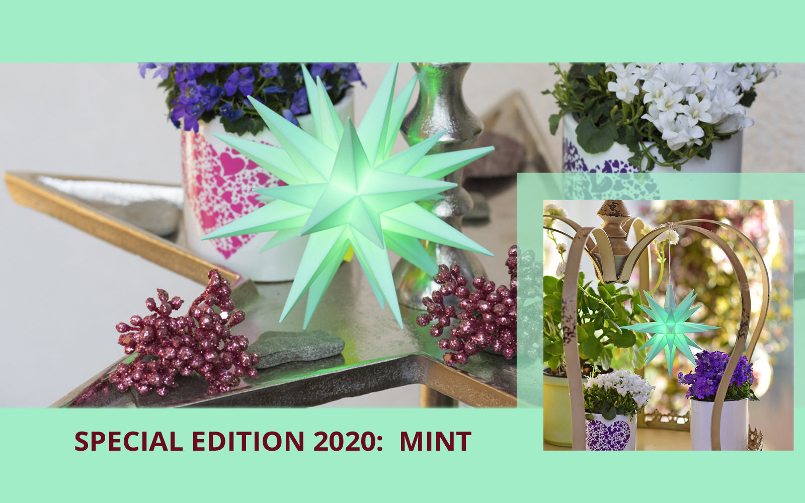 NEW SPECIAL EDITION 2020!