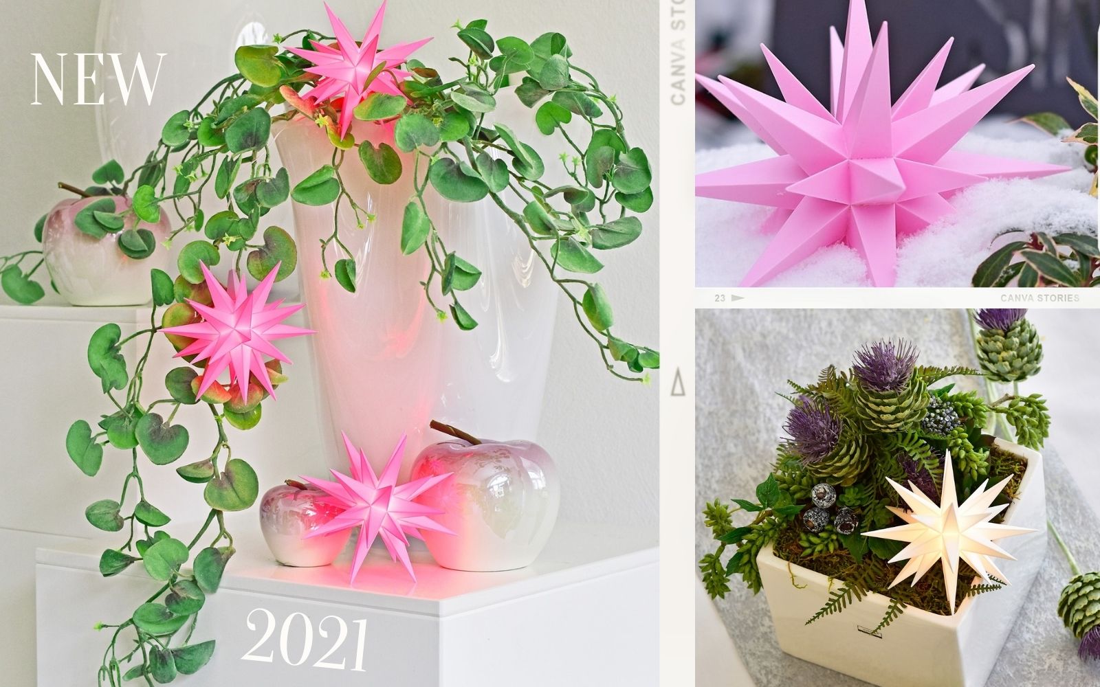 NEW: SPECIAL EDITION 2021 PINK AND MINISTAR