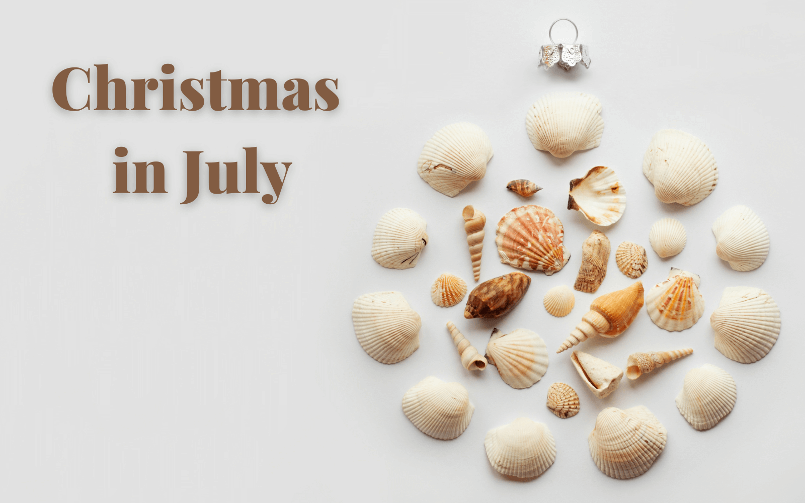 Christmas in July with different shells 