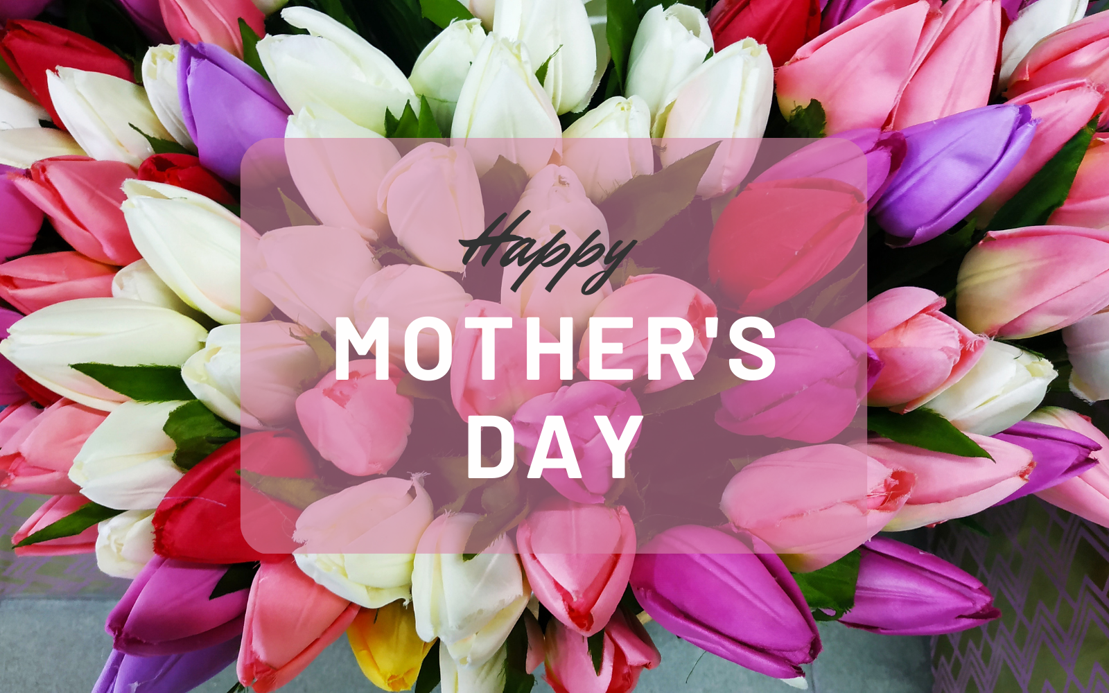 Pink, Purple and white tulips for mother's day