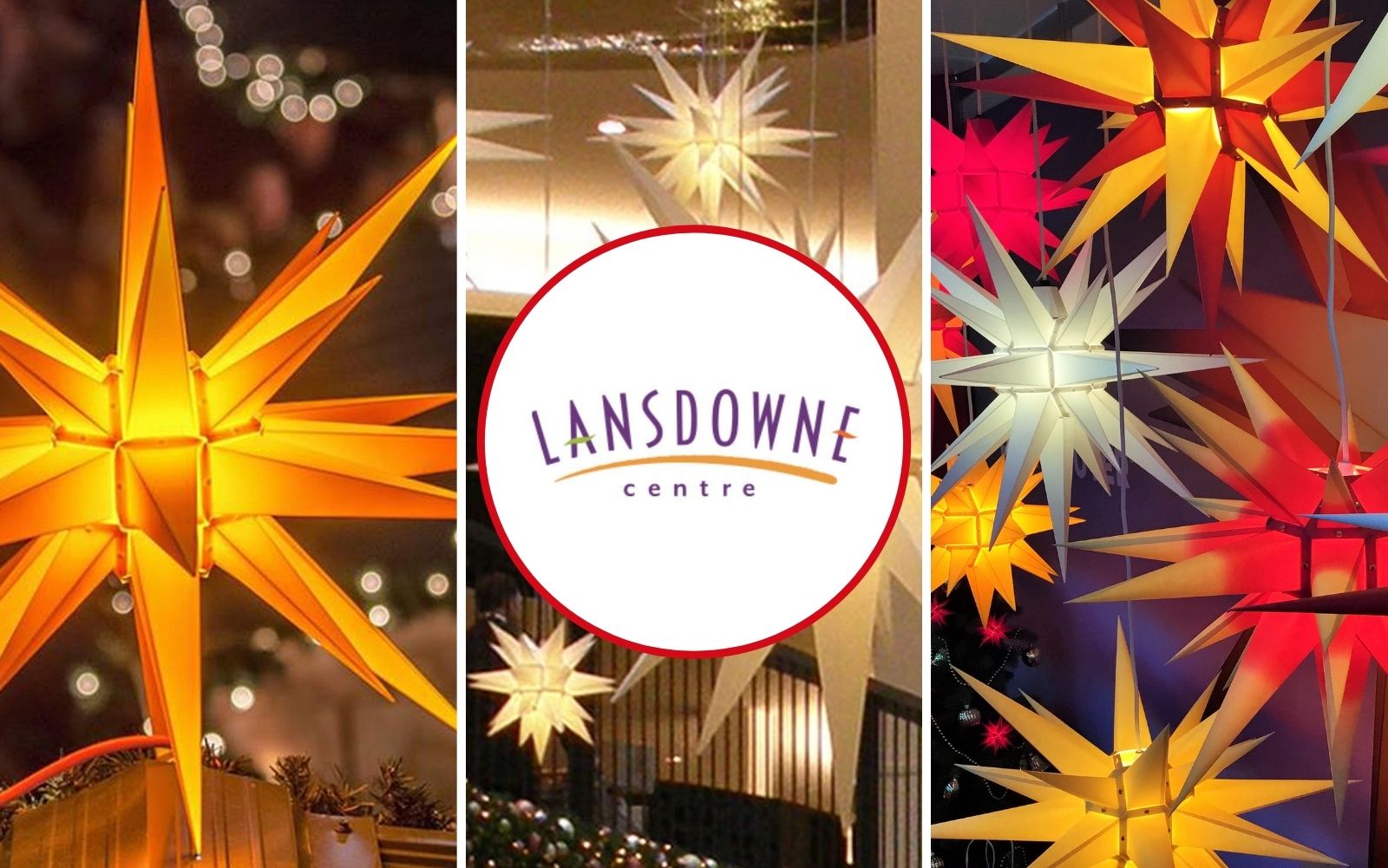 Herrnhut Stars in different colours