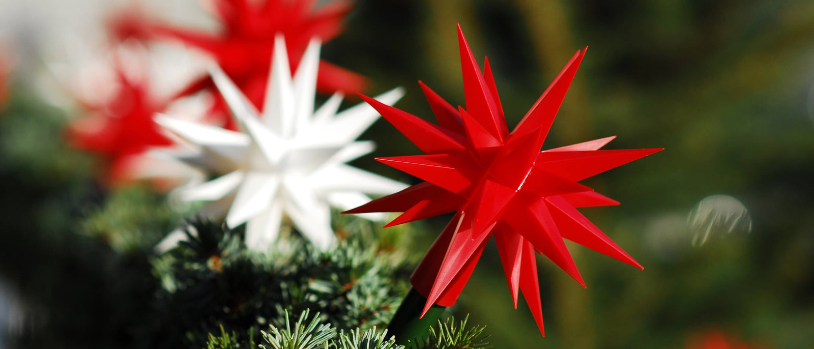 Herrnhuter Star Chains