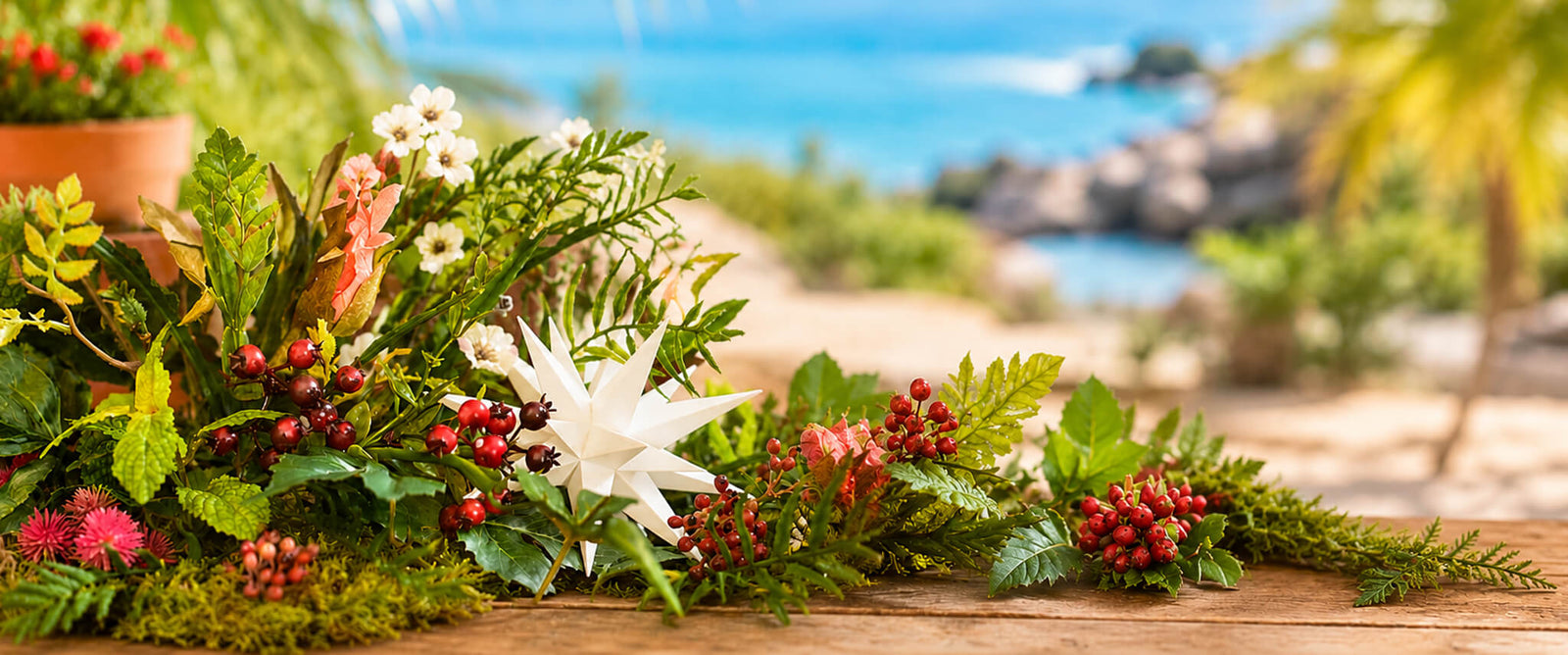 Christmas Decoration with a white Herrnhut star with a blurry summer background.