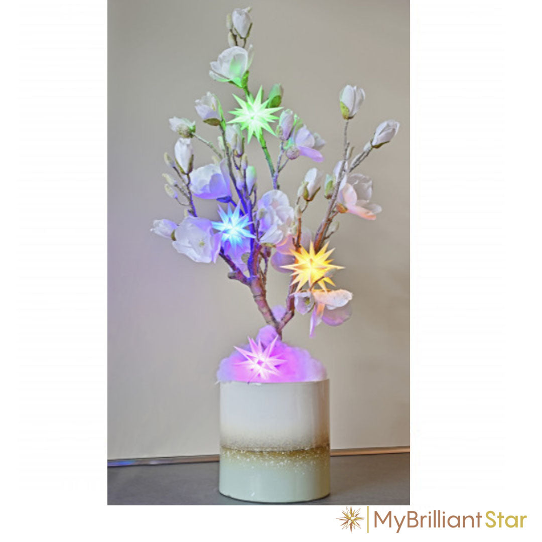 Colored LED set decoration