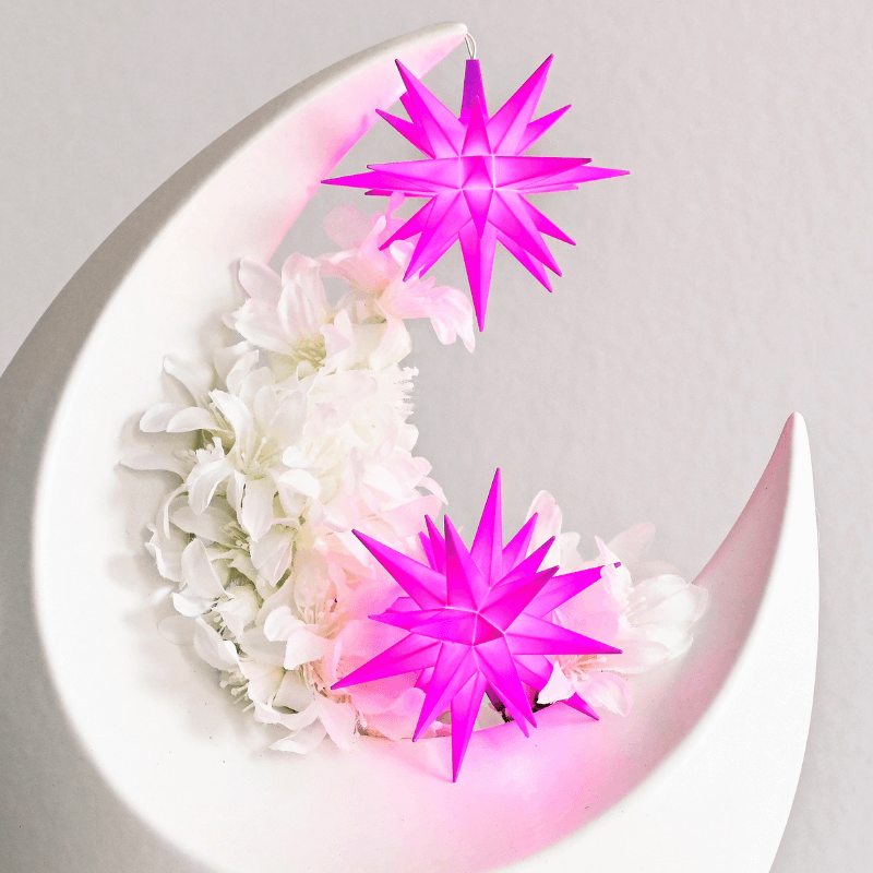 Special Edition Purple