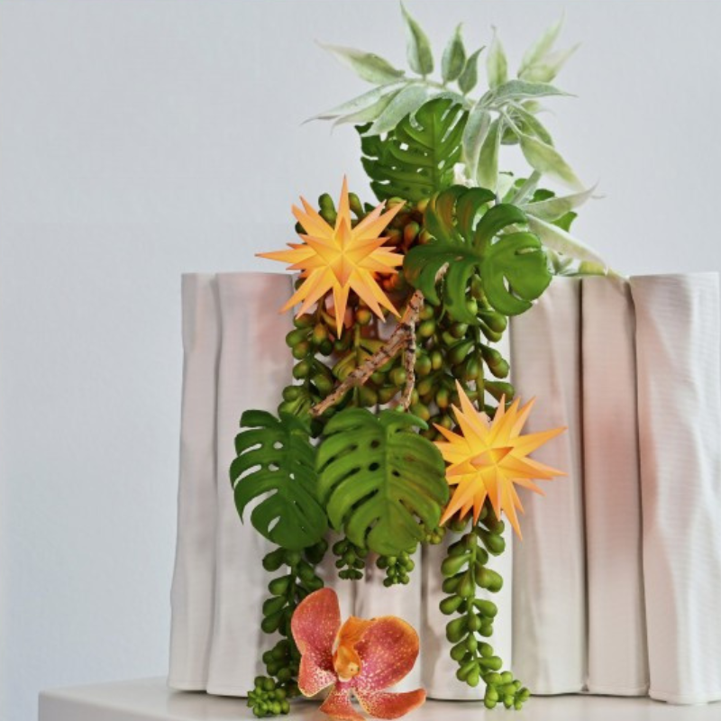 two Original Herrnhut plastic MINISTAR, APRICOT (Special Edition 2026) in plant