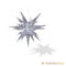 Original Herrnhut paper star, "NATURE Edition Graphic Dahlia", ~ 60 cm / 24 inch ø