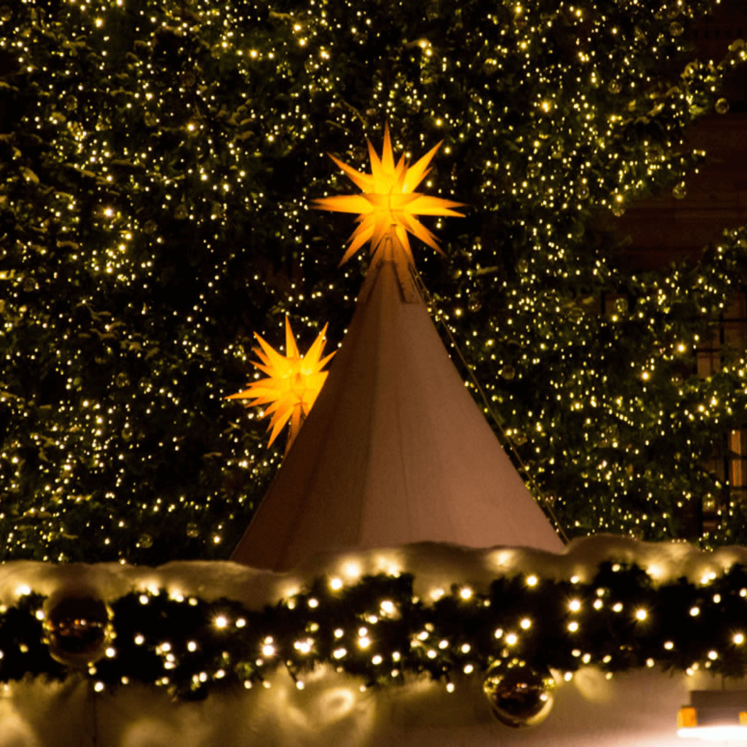 Christmas tree decorated with Original Herrnhut plastic star, yellow, ~ 130 cm / 51 inch ø