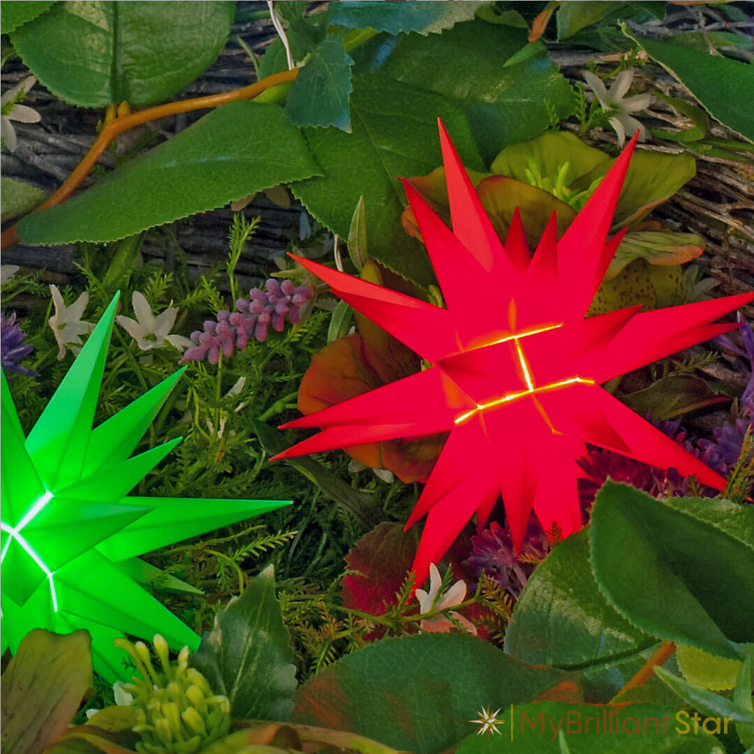 Flowers decorated with Original Herrnhut plastic star, red, ~ 13 cm / 5 inch ø