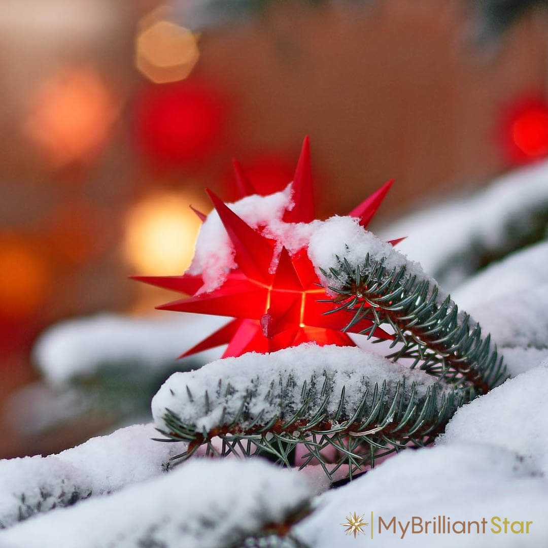 Illuminated red Herrnhut star among snow-covered evergreen branches