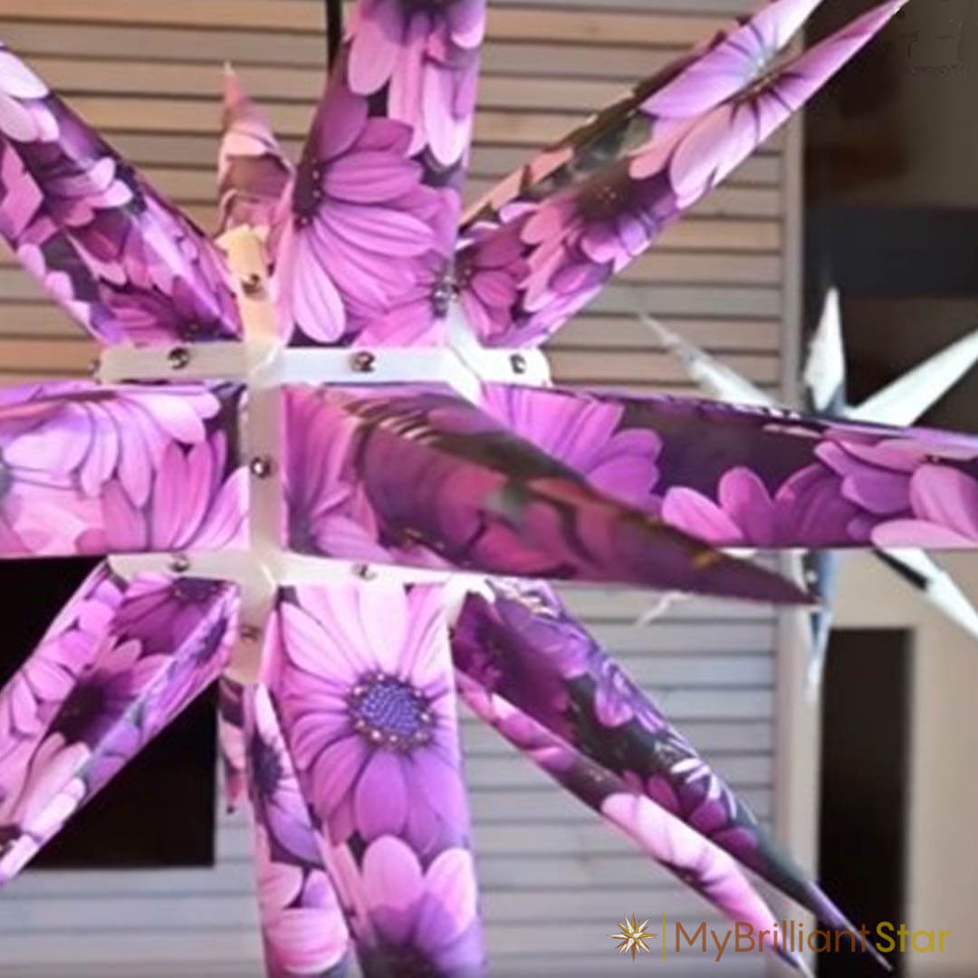 Original Herrnhut paper star, &quot;NATURE Edition Kapmargarite&quot;, ~ 60 cm / 24 inch ø