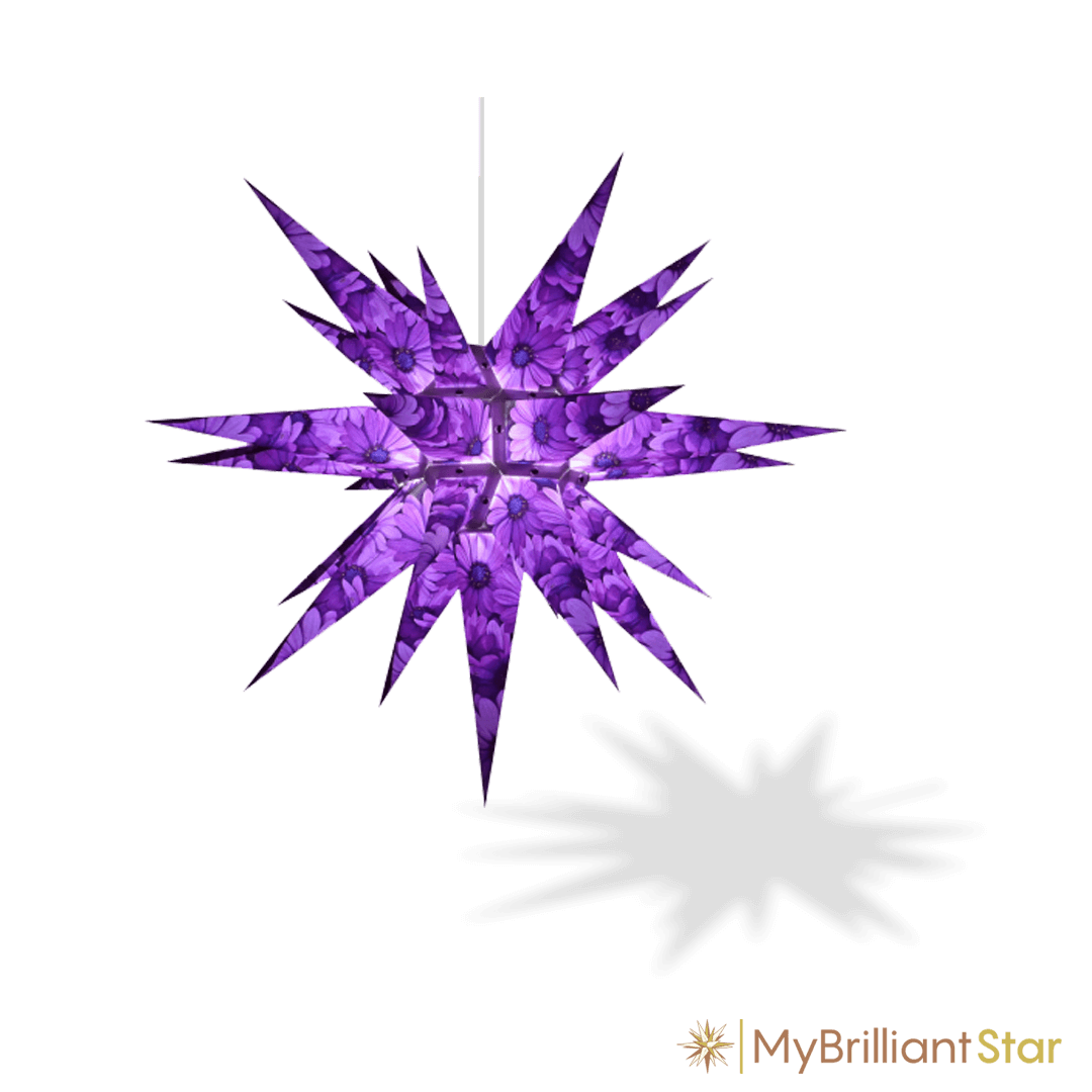 Original Herrnhut paper star, &quot;NATURE Edition Kapmargarite&quot;, ~ 60 cm / 24 inch ø